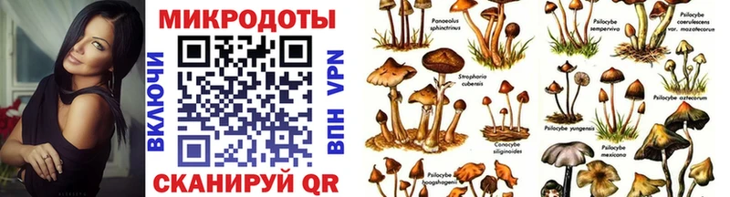 Псилоцибиновые грибы Cubensis Жуковский